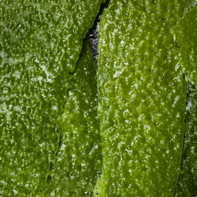 NAC (N-Acetylcysteine)