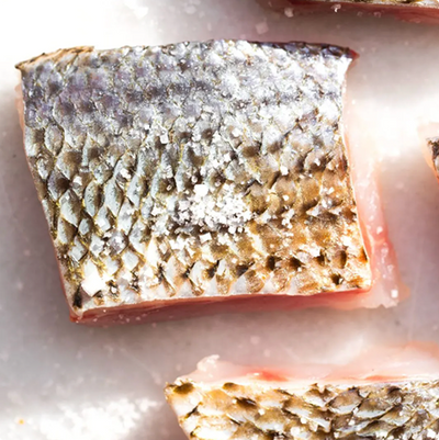 CoQ10 (Coenzyme Q10)